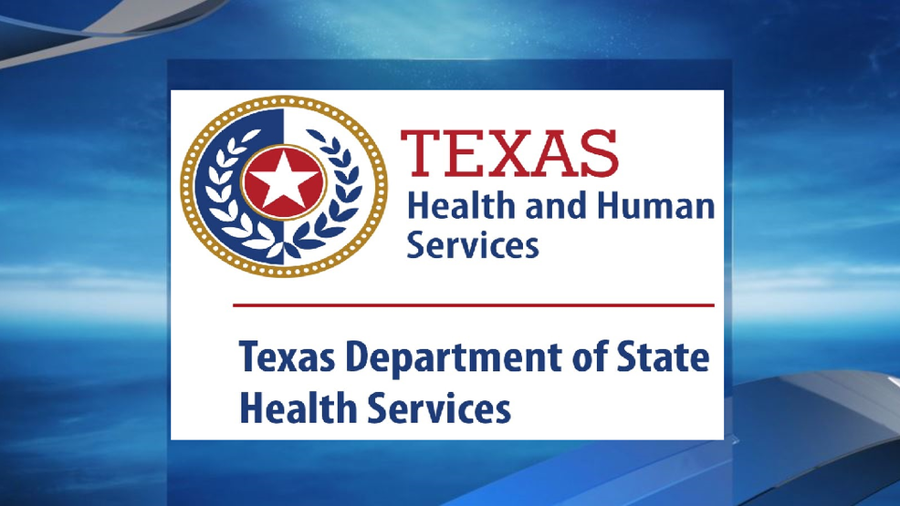 department of human services texas