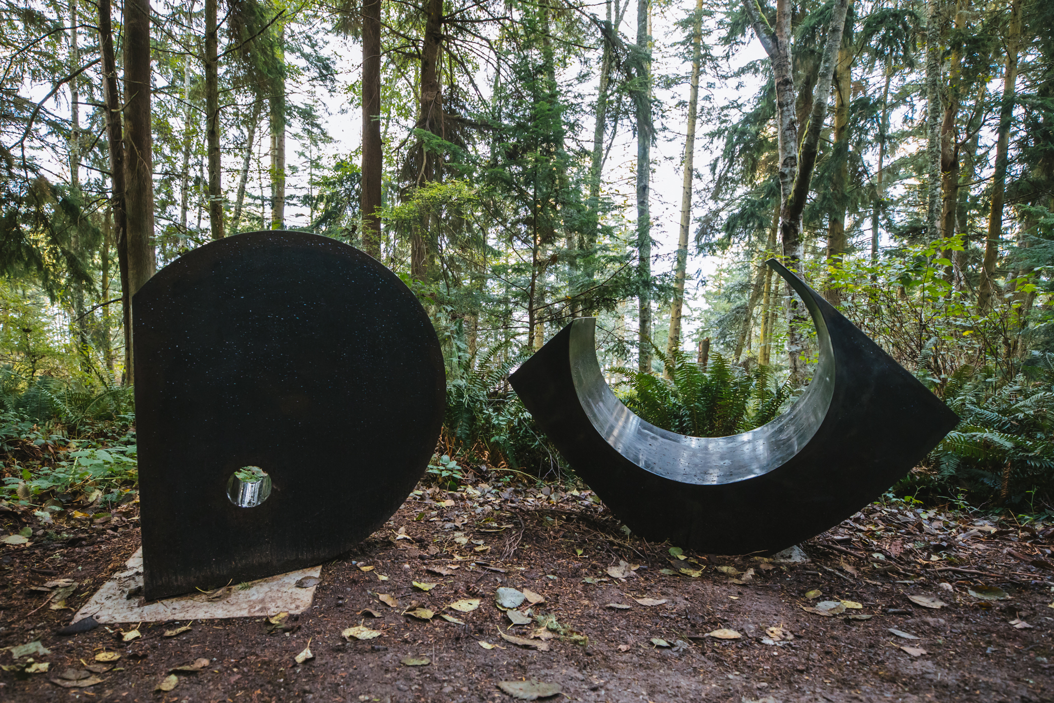 Photos New sculpture forest opens on Whidbey Island Seattle Refined