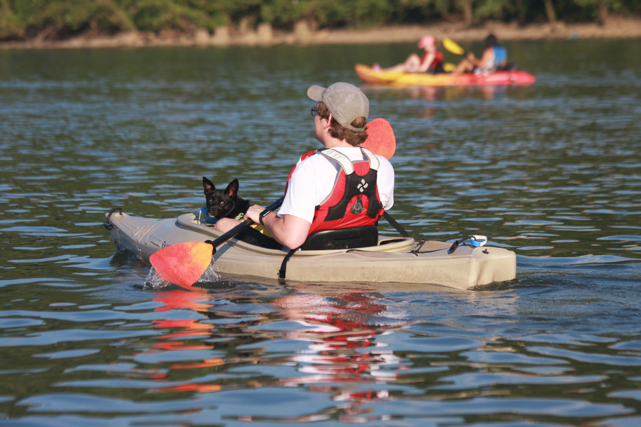 Thousands Kayaked the Ohio River During This Year's Paddlefest Cincinnati Refined