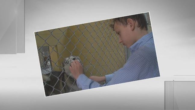 Waiting Child:  Caring for pets with Kevin