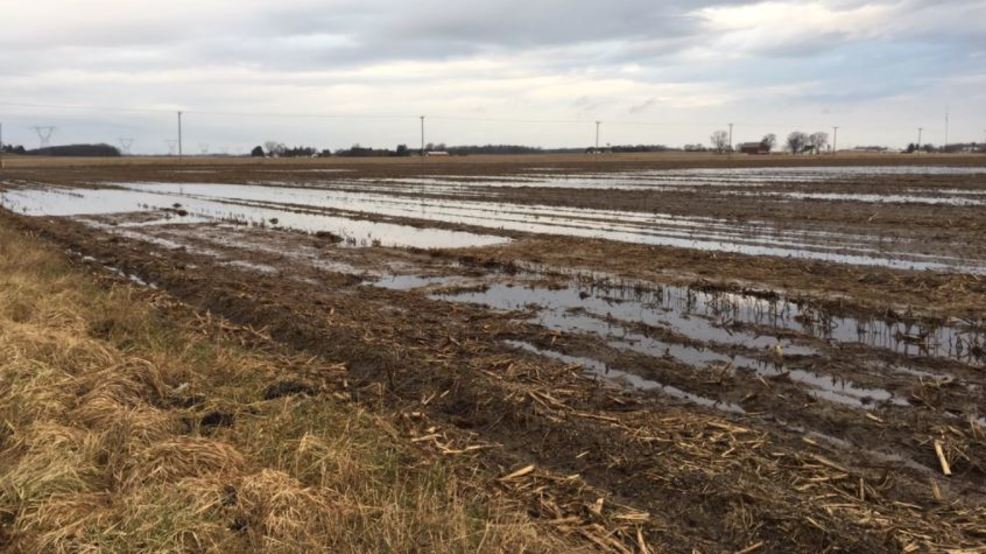 flooding-has-negative-impact-on-area-farmers-as-well-wsbt