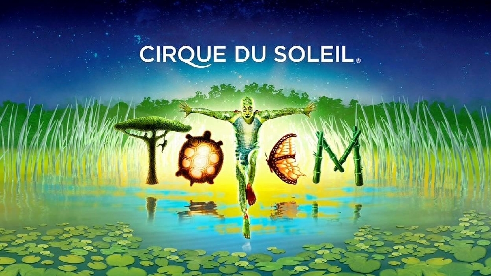 case analysis for cirque du soleil case essay Cirque du soleil case solution,cirque du soleil case analysis, cirque du soleil case study solution, cirque du soleil summary of backgrounds and facts cirque du soleil is a circus, which was founded by groups of road performers in 1984. case analysis for cirque du soleil case essay Cirque du soleil case solution,cirque du soleil case analysis, cirque du soleil case study solution, cirque du soleil summary of backgrounds and facts cirque du soleil is a circus, which was founded by groups of road performers in 1984.