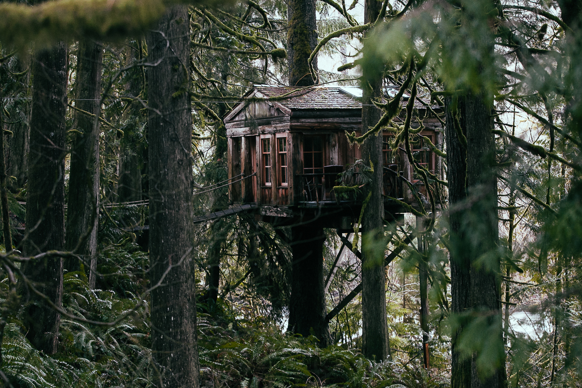 Photos: TreeHouse Point bed & breakfast | Seattle Refined