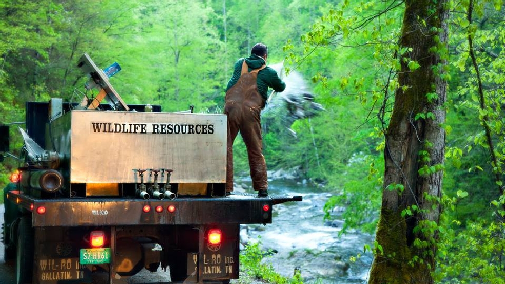 Drought impacts Tennessee trout stocking WTVC