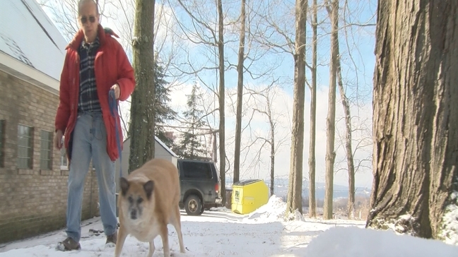 Making a Difference: Overweight dog gets a second chance at life