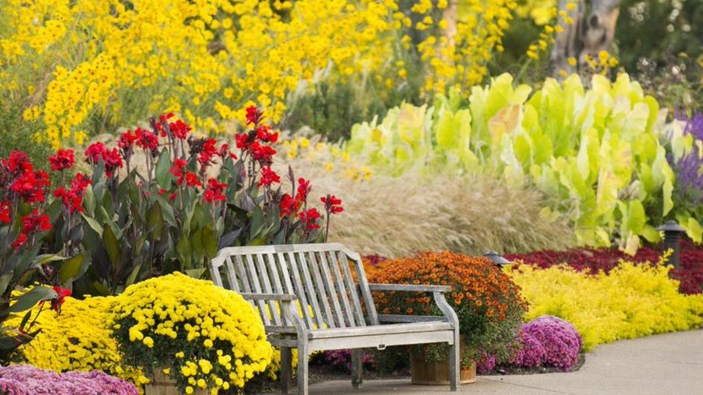 Cheekwood Voted Among Best Botanical Gardens In U S Wztv
