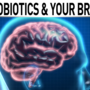 Probiotics may cause confusion, memory loss, study shows