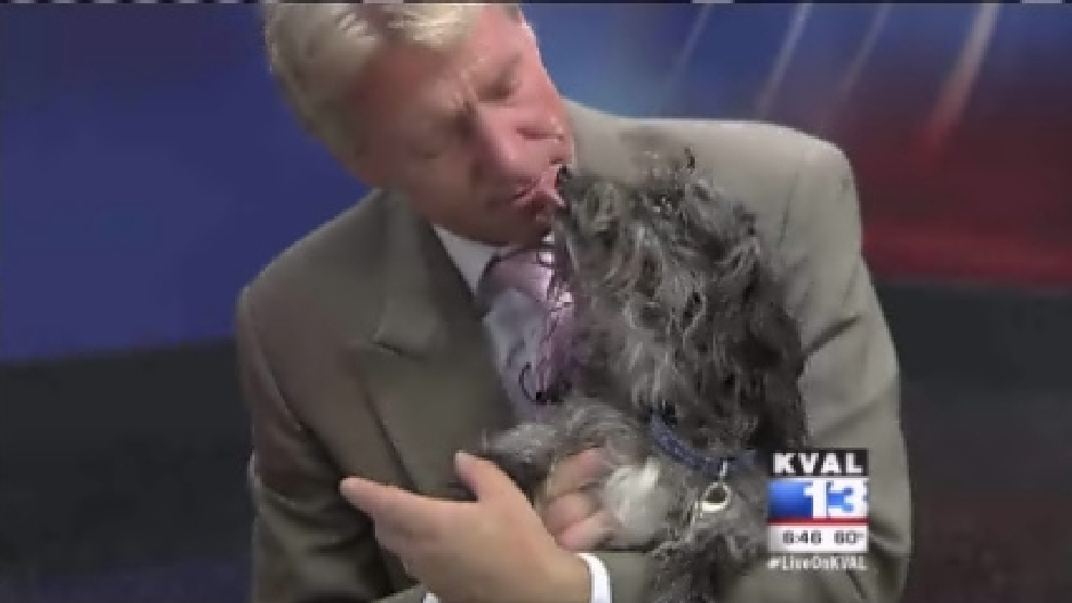 pet_mcredy2.jpg