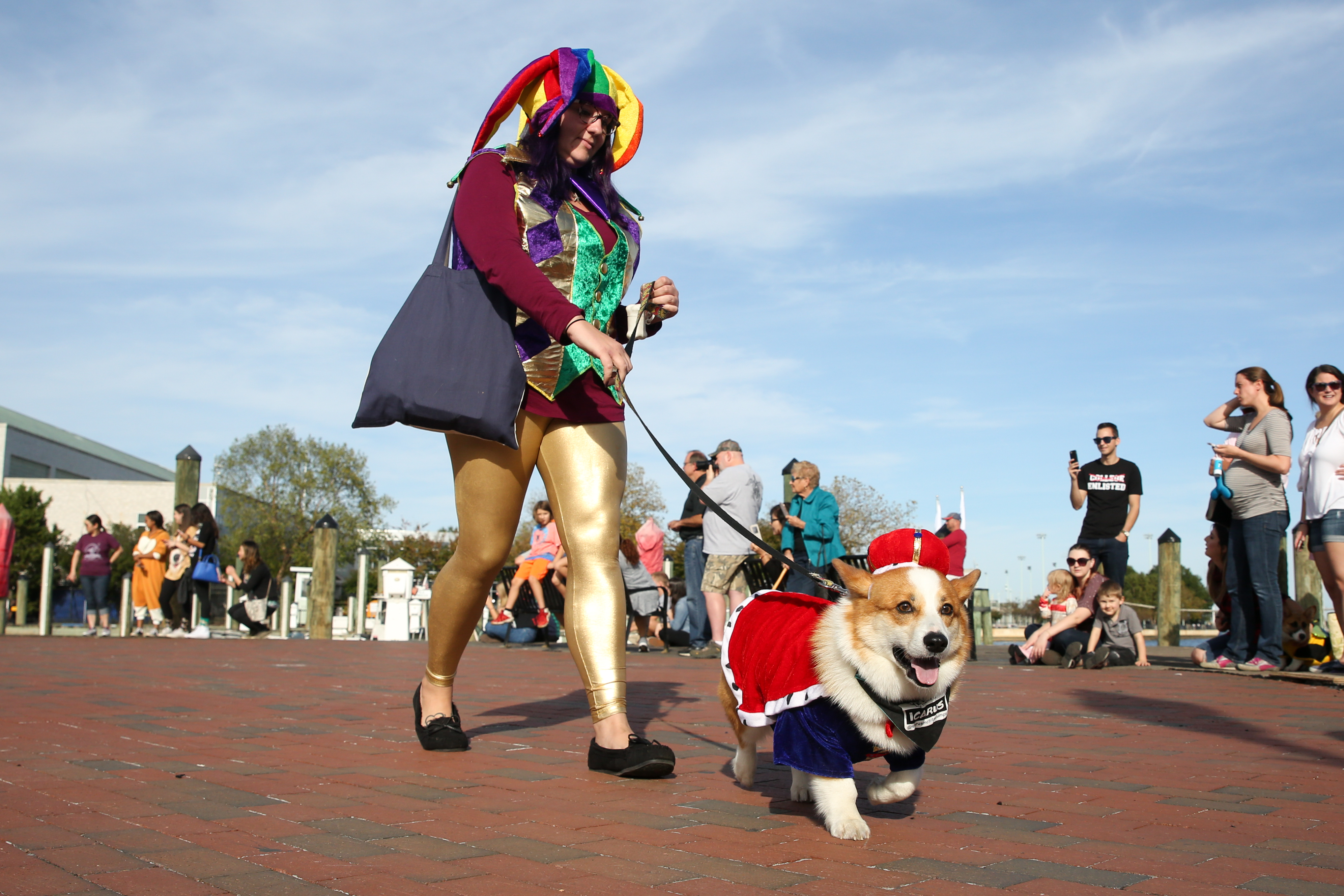 There was a HowlOWeen parade this weekend and it was the best