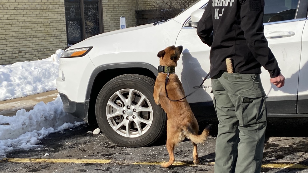 DEA demonstrates how dogs sniff out hidden drugs WWMT