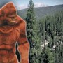 California woman sues state for not acknowledging Bigfoot's existence