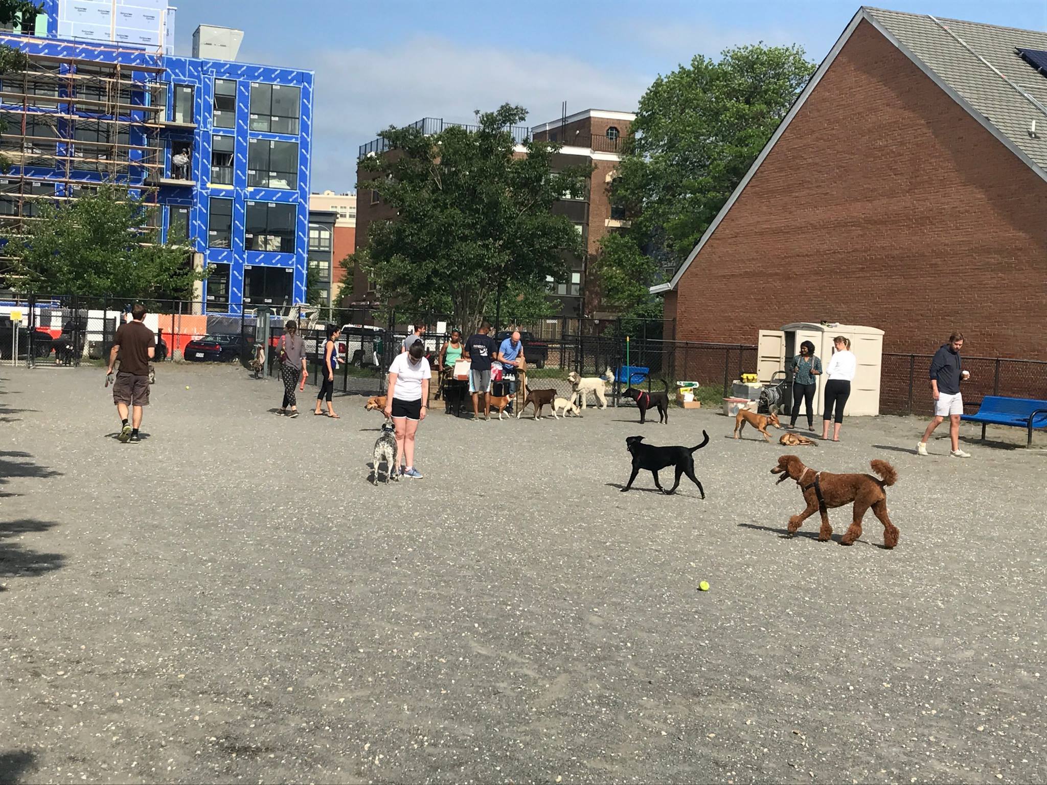 8 dog parks in the DMV your pup will love DC Refined