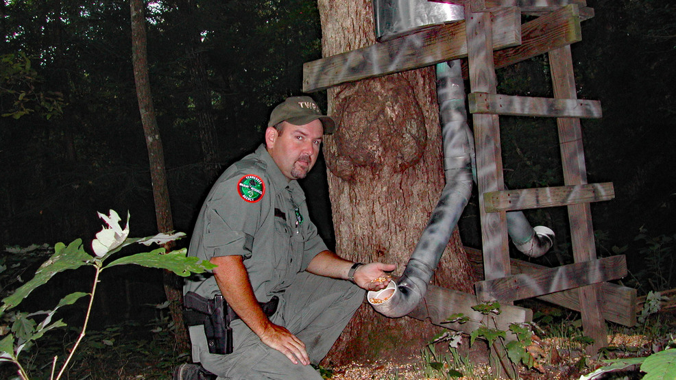 Legislature considers deer baiting law WTVC