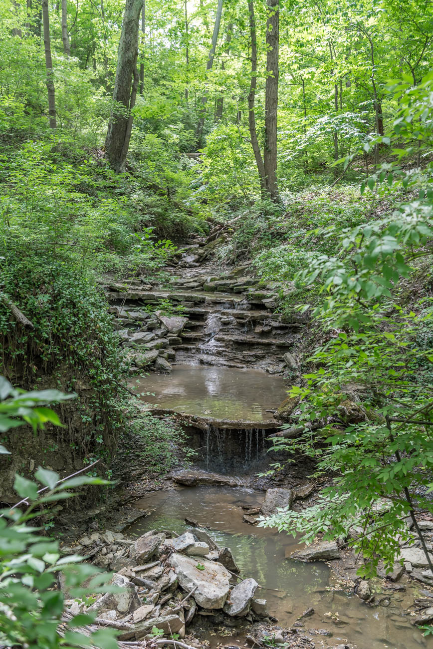 devou park mtb trails