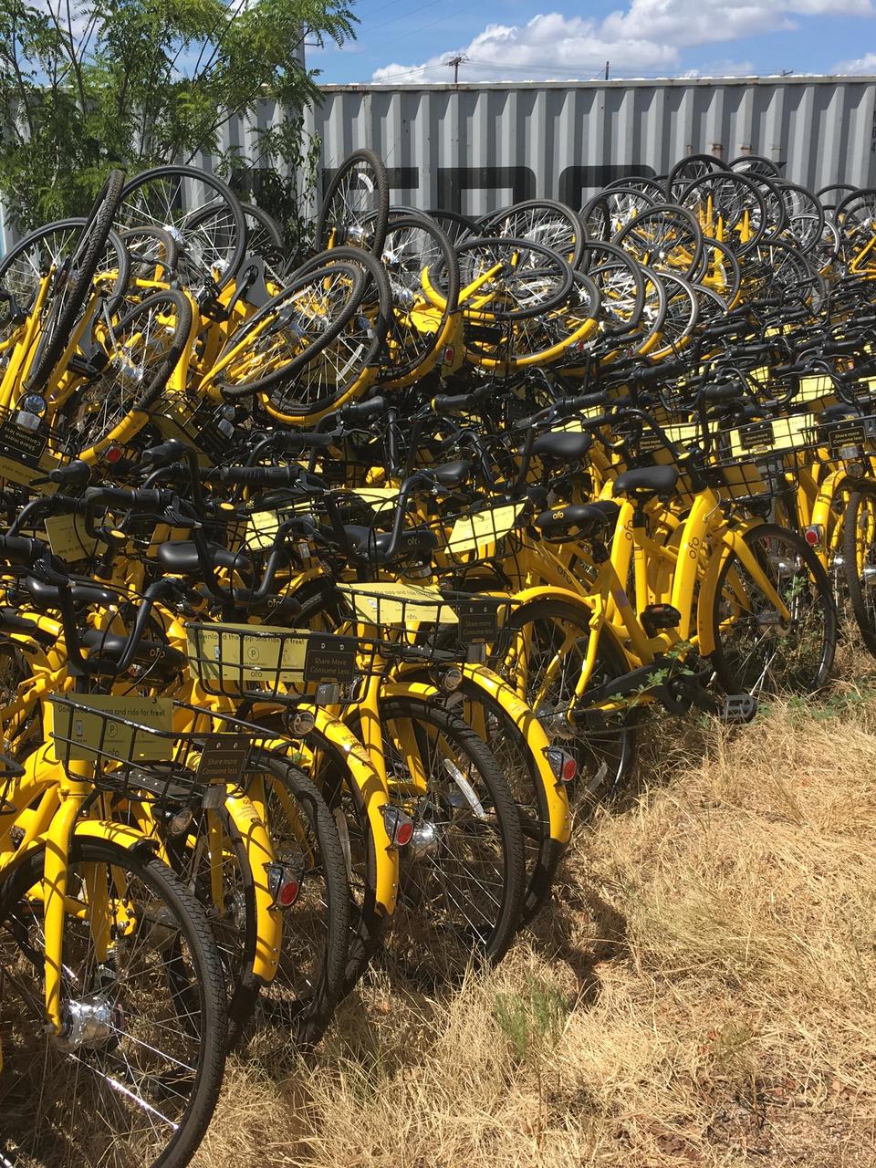 the yellow bike project