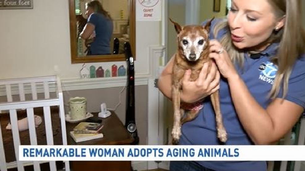 eileen-visits-house-with-a-heart-senior-pet-sanctuary-wjla