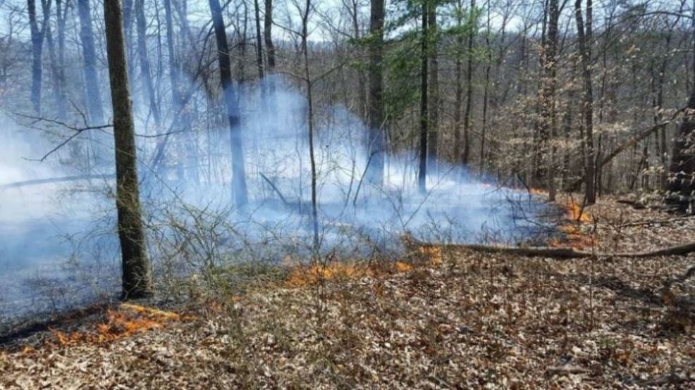 W.Va. forestry officials urge caution as fires have burned 600 acres in