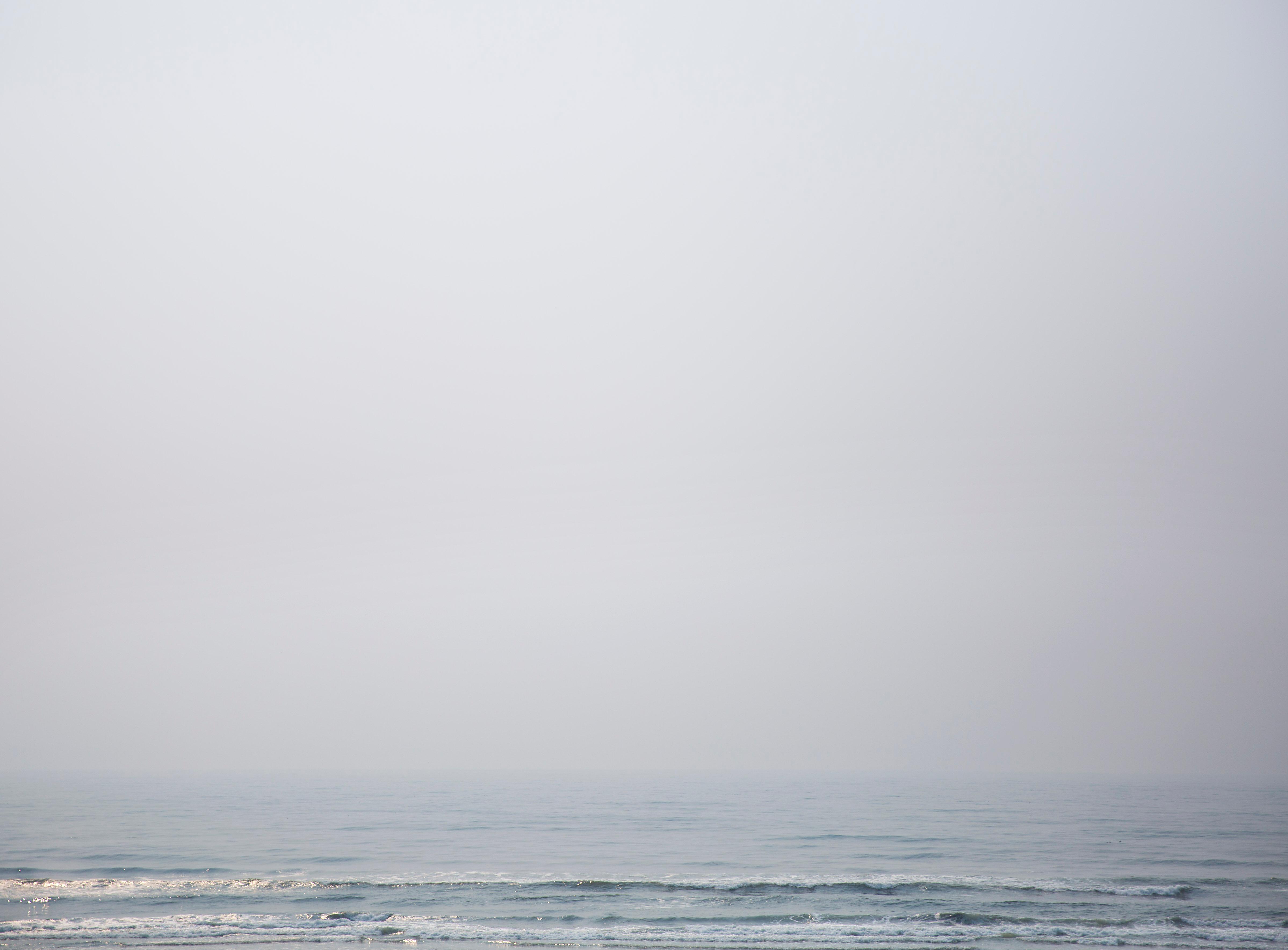 Photos The Tree of Life in Forks, WA is straight out of a storybook