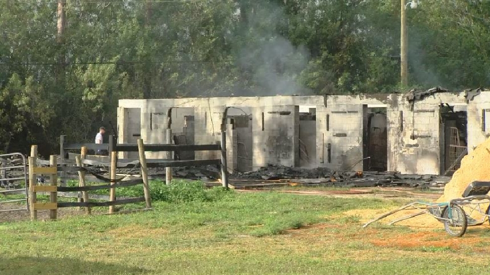 Dozen horses killed in barn fire at training facility WPEC