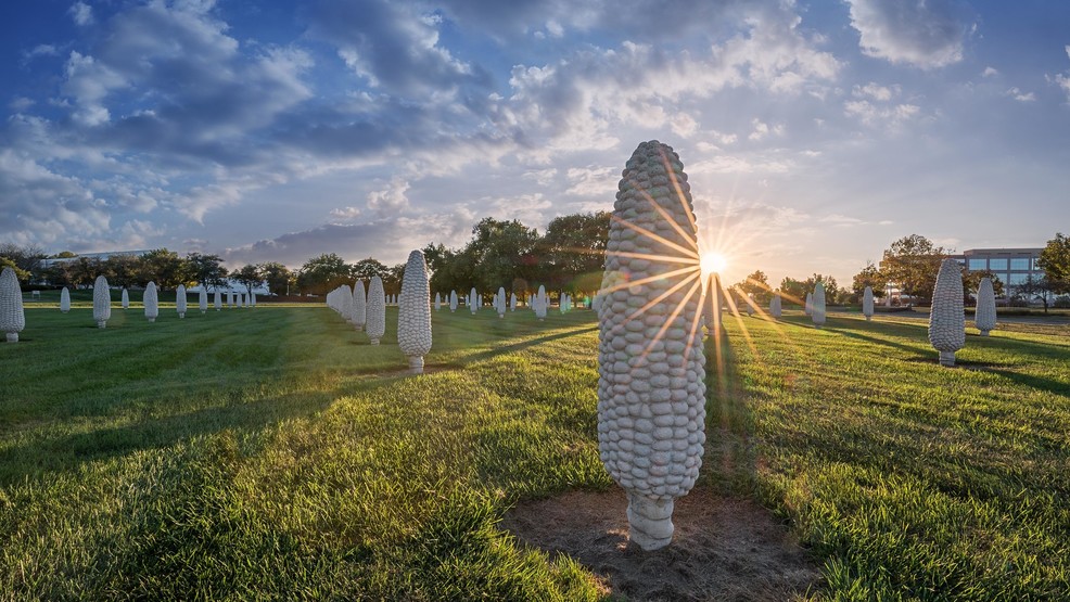 Dublin celebrates Ohio corn sculpture's 25th anniversary WSYX