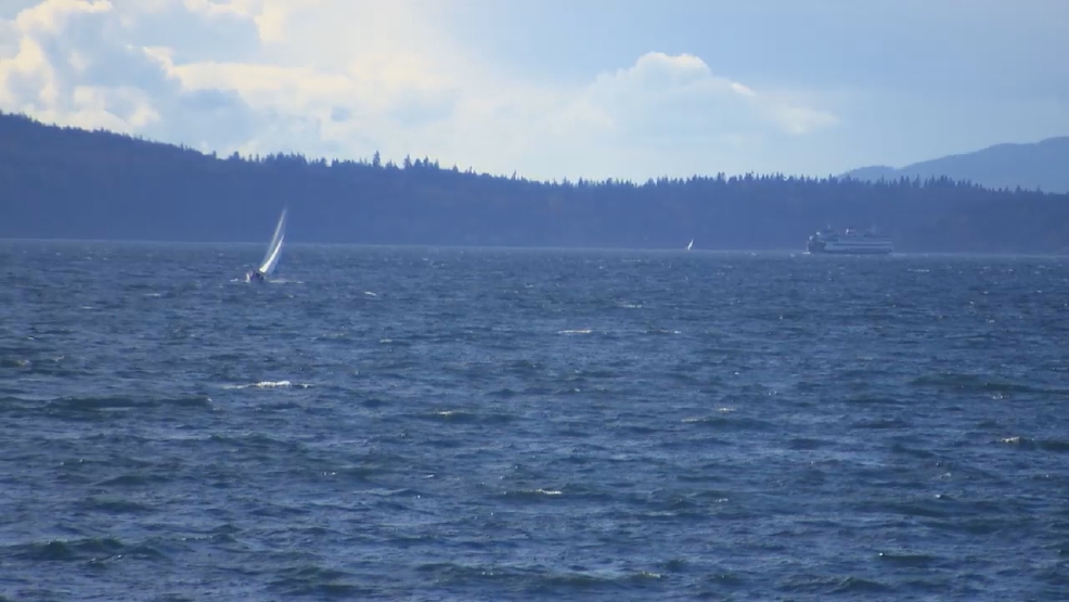 Feds Step Up Efforts To Protect Puget Sound Marine Life Komo