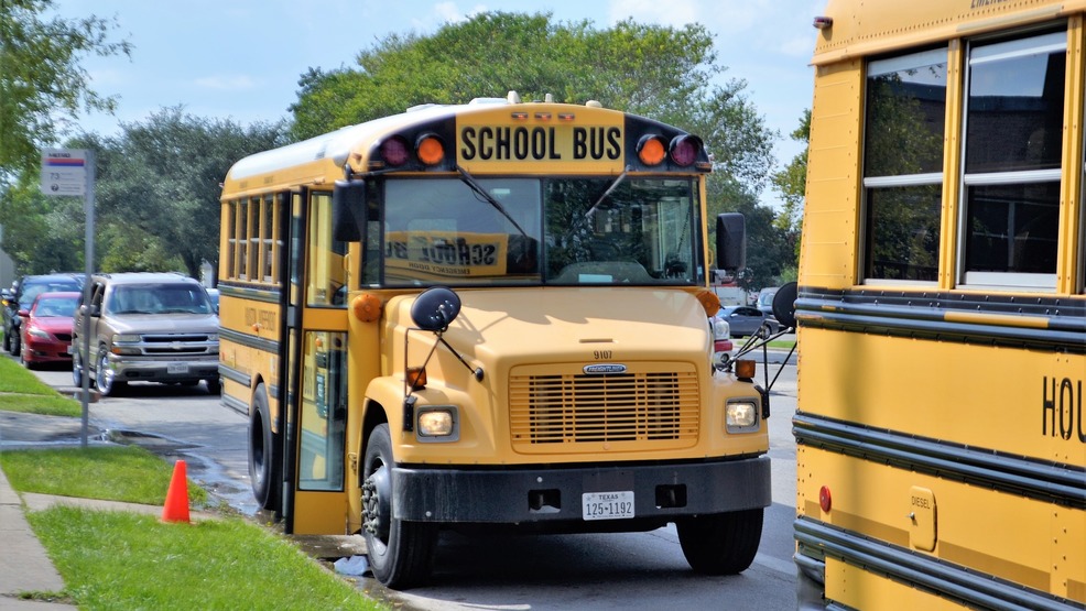 school-buses-2801134_1920.jpg