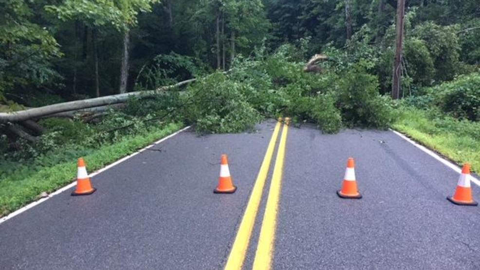 Large tree blocking road in Rutledge area | WCHS